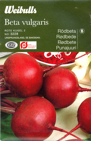 Rdbede, Rote Kugel 2, Beta vulgaris </i>L. var.<i> vulgaris