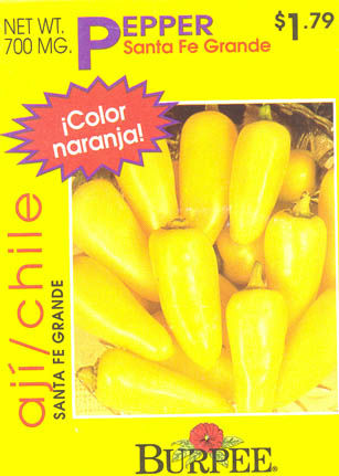 Chilipeber, Santa Fe Grande, Capsicum annuum </i>L.<i>