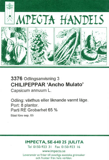 Chilipeber, Ancho Mulato, Capsicum annuum </i>L.<i>