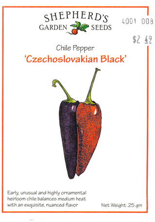 Chilipeber, Czechoslovakian Black, Capsicum annuum </i>L.<i>