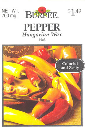 Chilipeber, Hungarian Hot Wax, Capsicum annuum </i>L.<i>