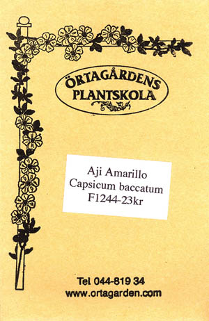 Ajipeber, Ají Amarillo, Capsicum baccatum