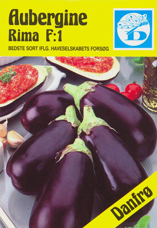 Aubergine, Rima F1, Solanum melongena </i>L.<i>