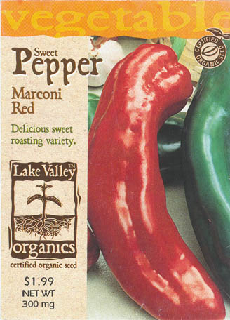 Peberfrugt (Spansk peber), Marconi Red, Capsicum annuum </i>L.<i>