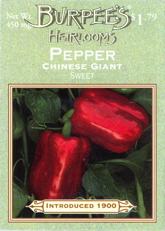 Peberfrugt (Spansk peber), Chinese Giant, Capsicum annuum </i>L.<i>