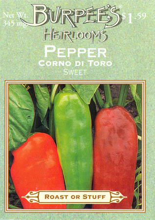 Peberfrugt (Spansk peber), Corno di Toro, Capsicum annuum </i>L.<i>