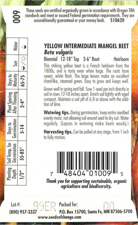 Rdbede, Yellow Intermediate Mangel, Beta vulgaris </i>L. var.<i> vulgaris