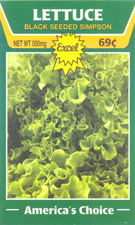 Havesalat, pluksalat, Black Seeded Simpson, Lactuca sativa </i>L. var. <i>crispa