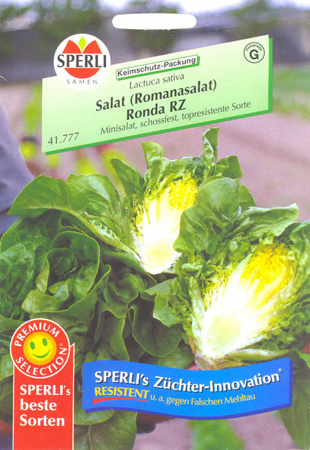 Havesalat, romersalat, Ronda RZ, Lactuca sativa </i>L. var. <i>longifolia.