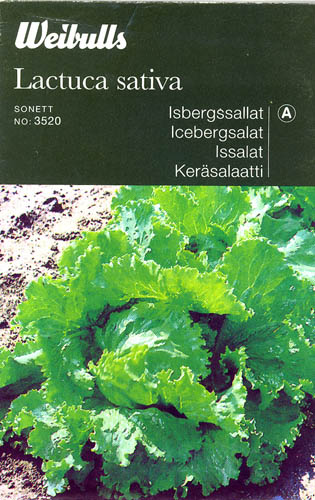 Havesalat, hovedsalat, Sonett, Lactuca sativa </i>L. var. <i>capitata