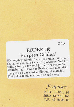 Rdbede, Burpees Golden, Beta vulgaris </i>L. var.<i> vulgaris