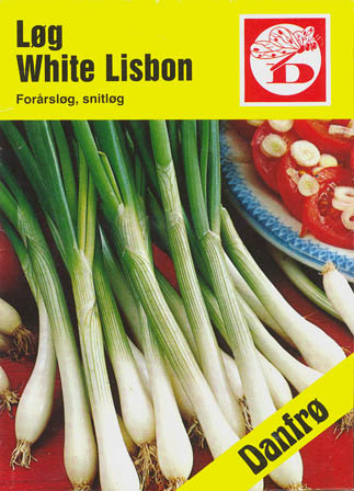Pibelg, White Lisbon, Allium fistulosum </i>L<i>