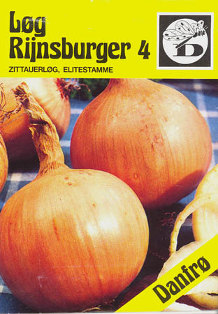 Kepalg, Rijnsburger 4, Allium cepa </i>L.<i>