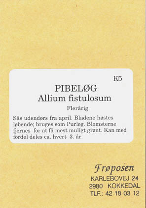 Pibelg, Pibelg, Allium fistulosum </i>L<i>