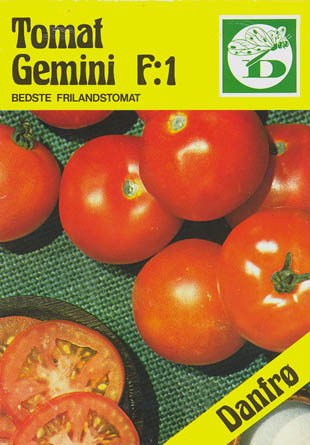 Tomat, Gemini F1, Solanum lycopersicum</i> L<i>