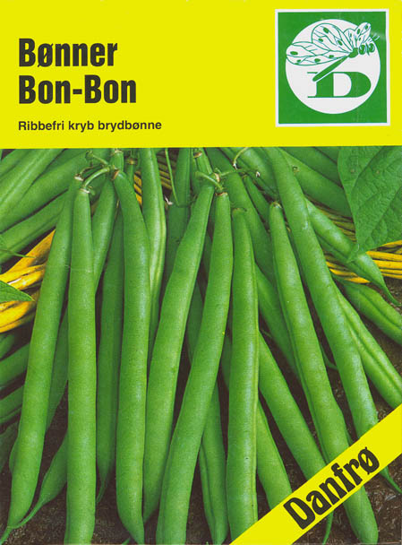 Havebnne, Bon-Bon, Phaseolus vulgaris </i>L.<i>