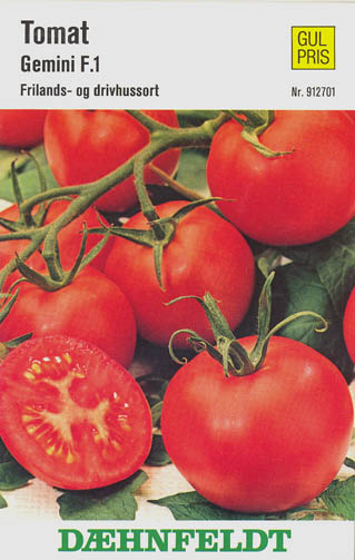 Tomat, Gemini F1, Solanum lycopersicum</i> L<i>